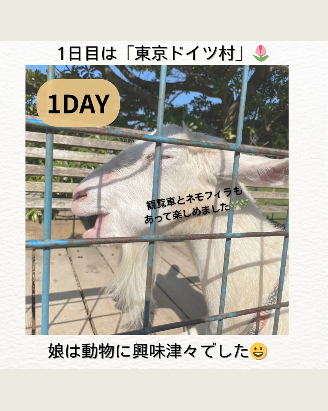 GWの思い出🌊