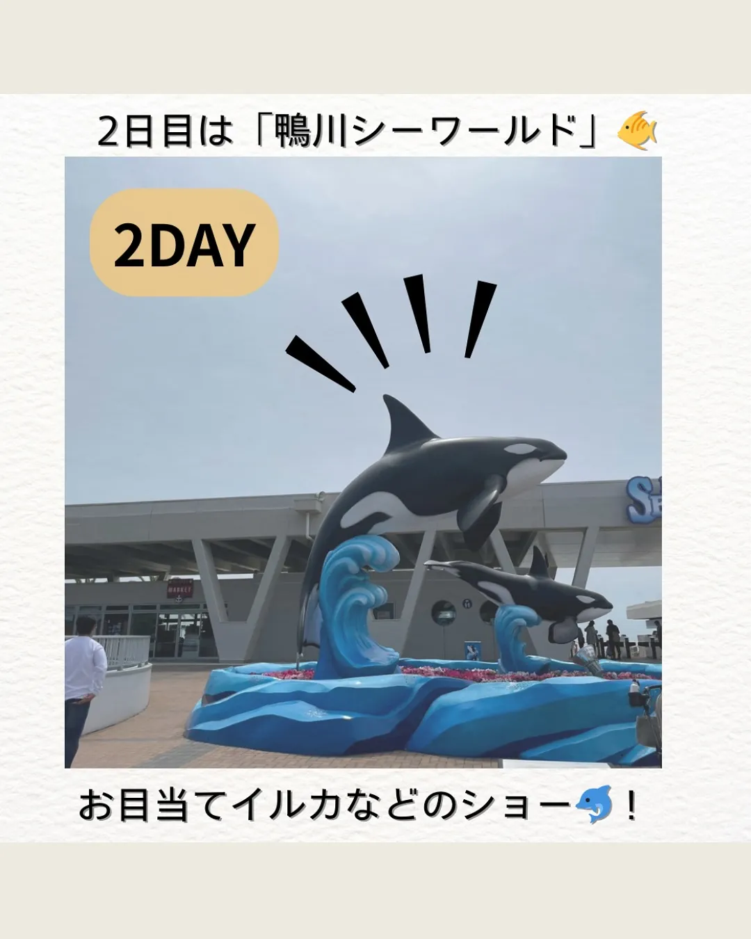 GWの思い出🌊