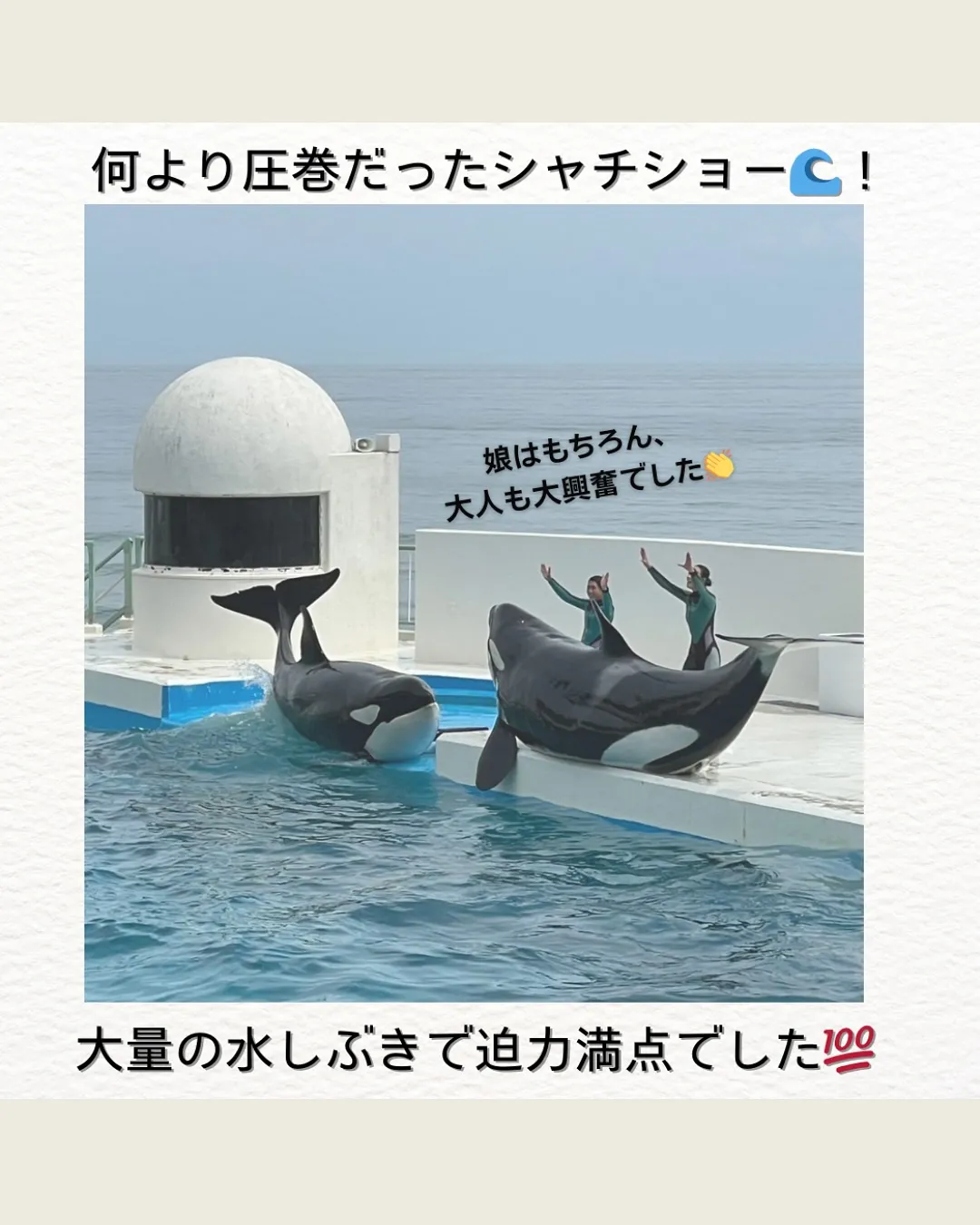 GWの思い出🌊