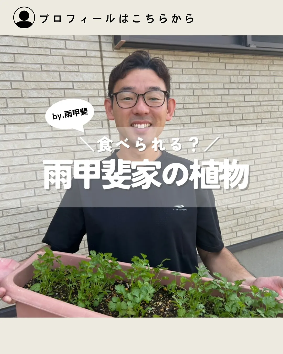 雨甲斐家の植物🪴