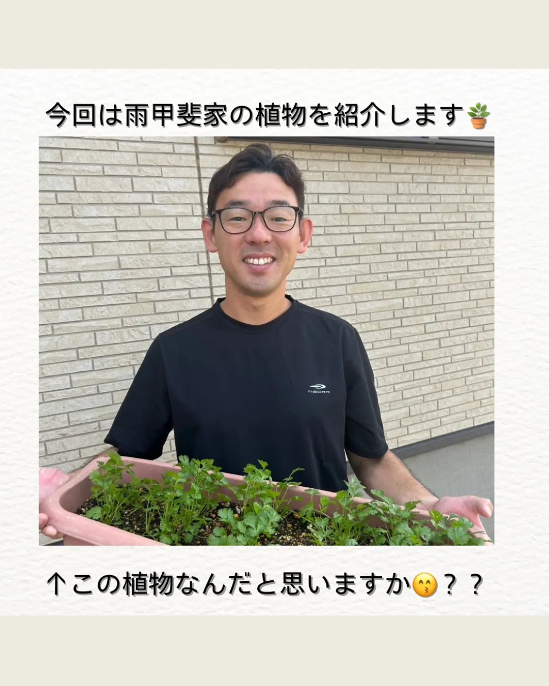 雨甲斐家の植物🪴
