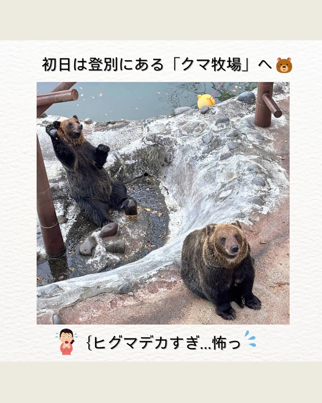 旅の思い出🐻
