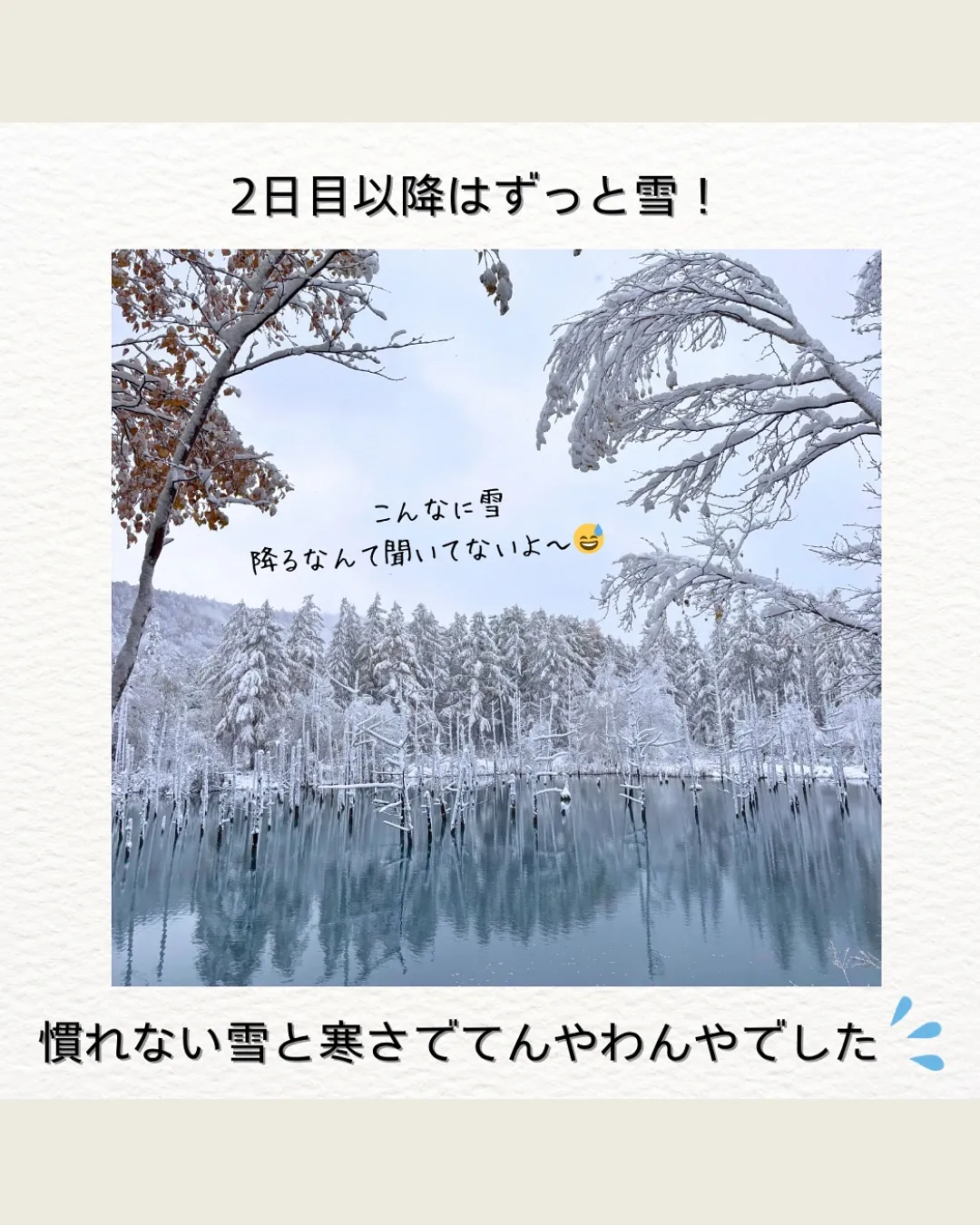 旅の思い出🐻